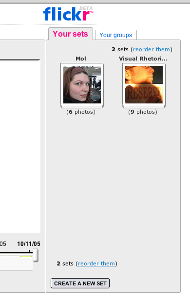 Flickr Sets in Organizer